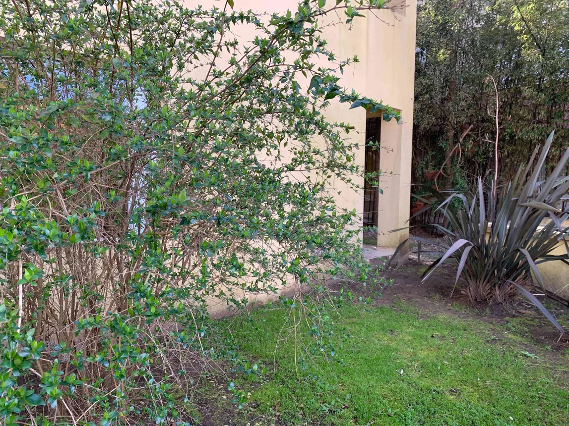 Departamento de 2 ambientes en venta en Pinamar, 1° de Julio de 1978 1400, foto 5