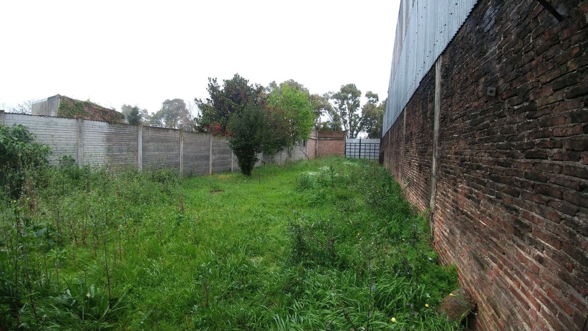 Foto 12 — VENTA DEPOSITO QUILMES OESTE