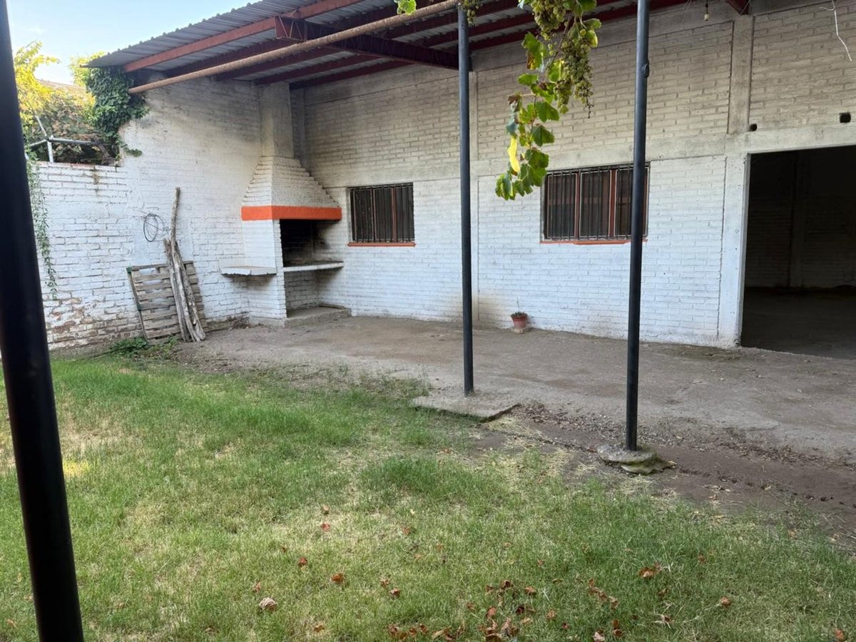 Imagen 11