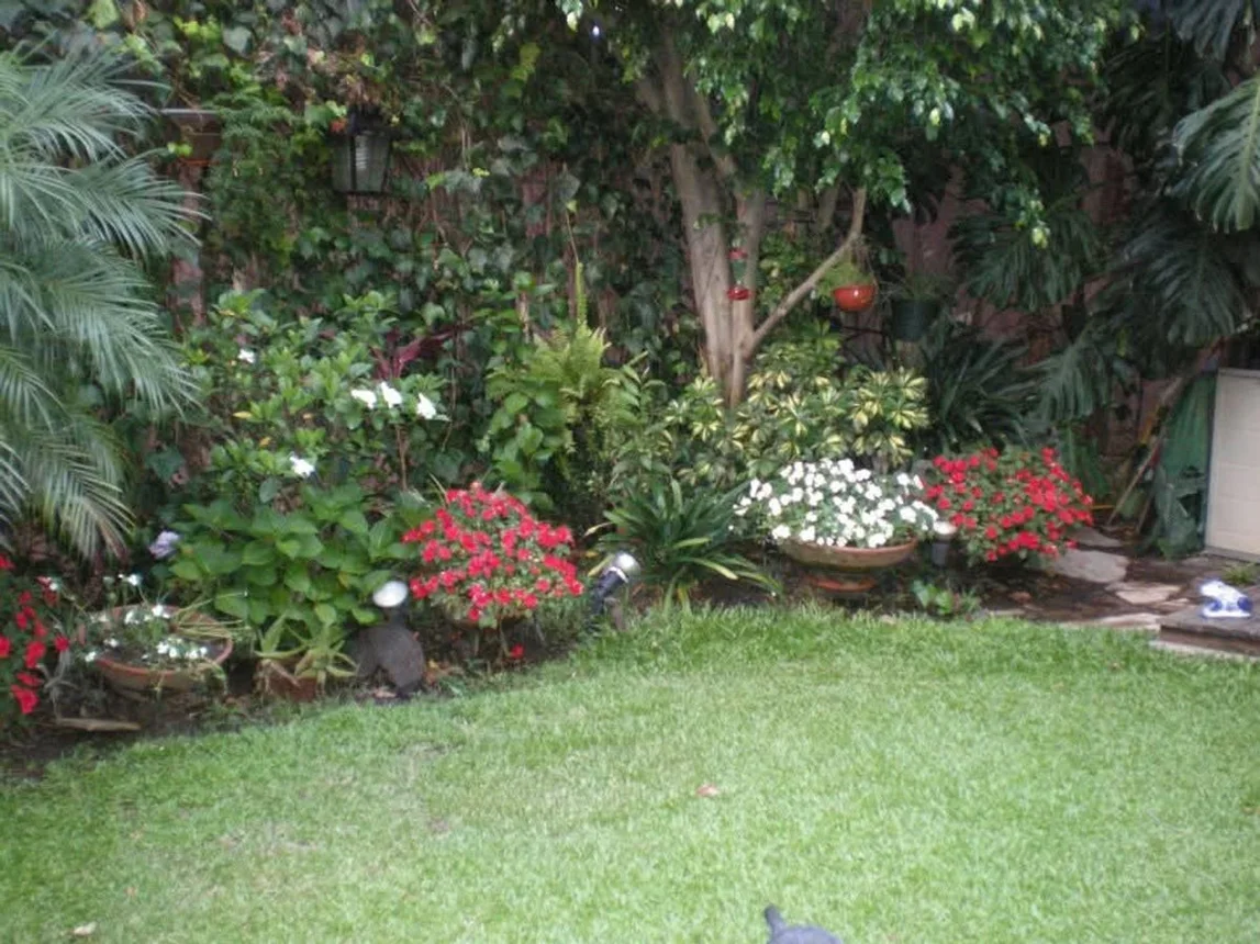 Dpto 3 ambientes con jardín, foto 2