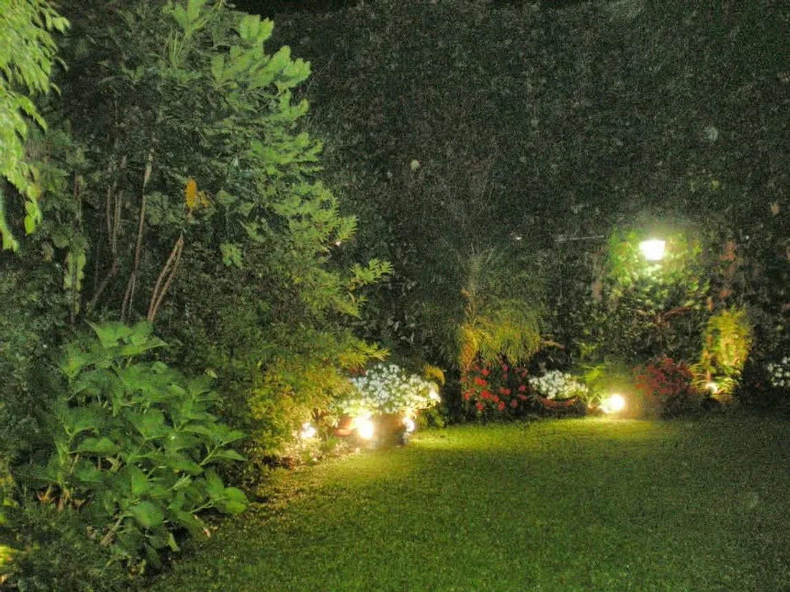 Dpto 3 ambientes con jardín, foto 3