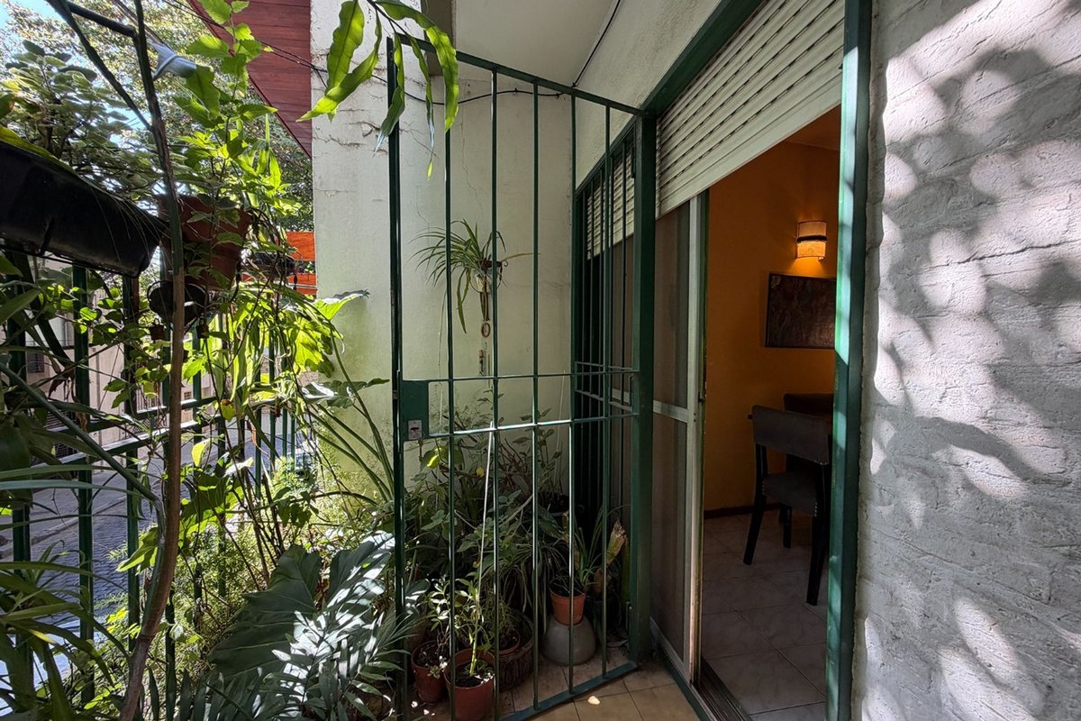 Imagen 11