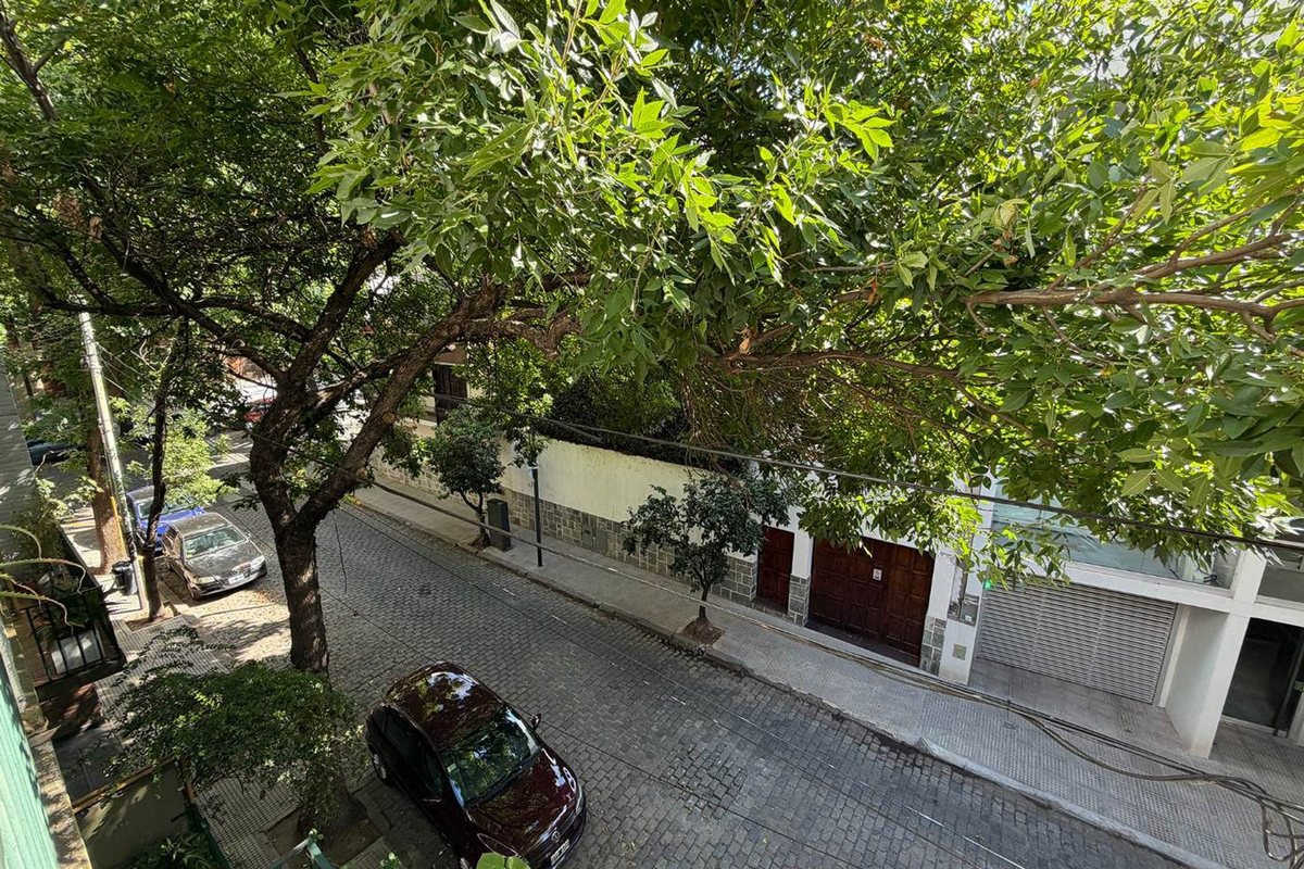 Imagen 26