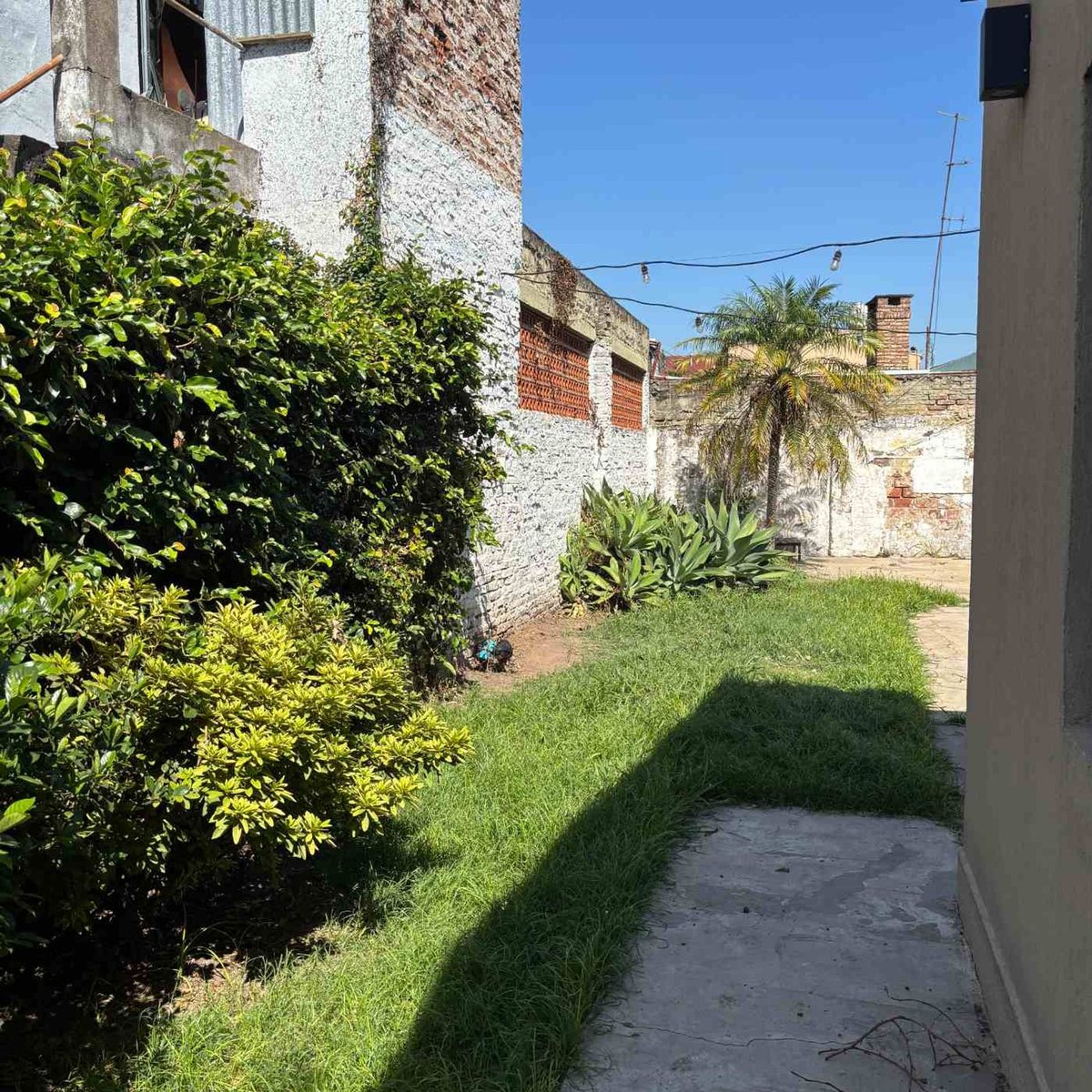 Foto 32 — VENTA CASA 4 AMBIENTES COCHERA QUILMES APTO CRED