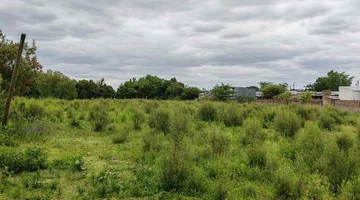 Gran terreno de 8,181 m² ideal para inversión