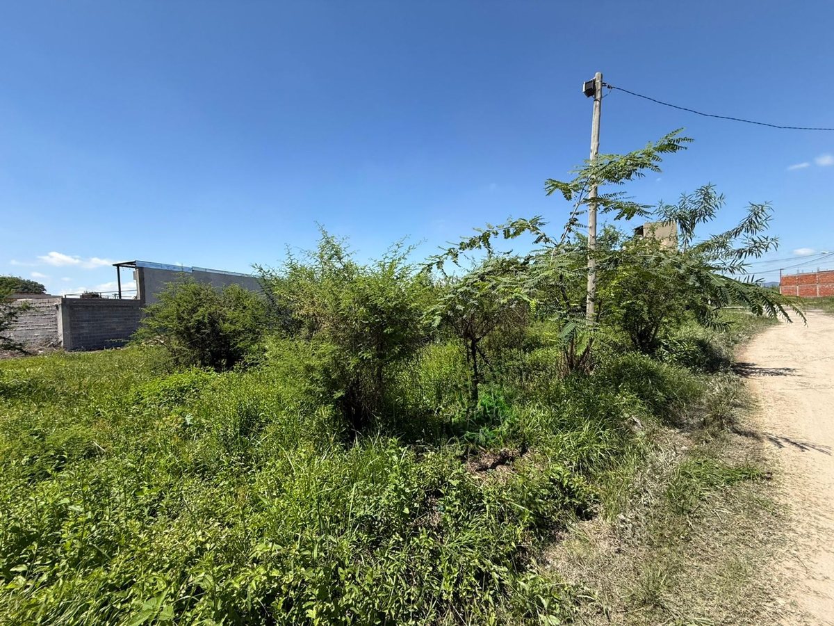 TERRENO VENTA LOTEO SEPTIEMBRE SAN LORENZO CHICO - foto 5