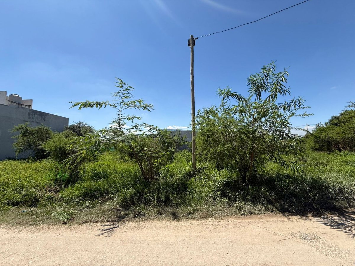TERRENO VENTA LOTEO SEPTIEMBRE SAN LORENZO CHICO - foto 3