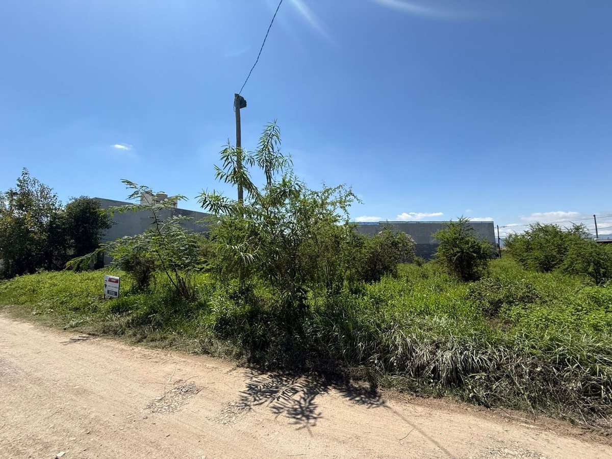 TERRENO VENTA LOTEO SEPTIEMBRE SAN LORENZO CHICO - foto 6