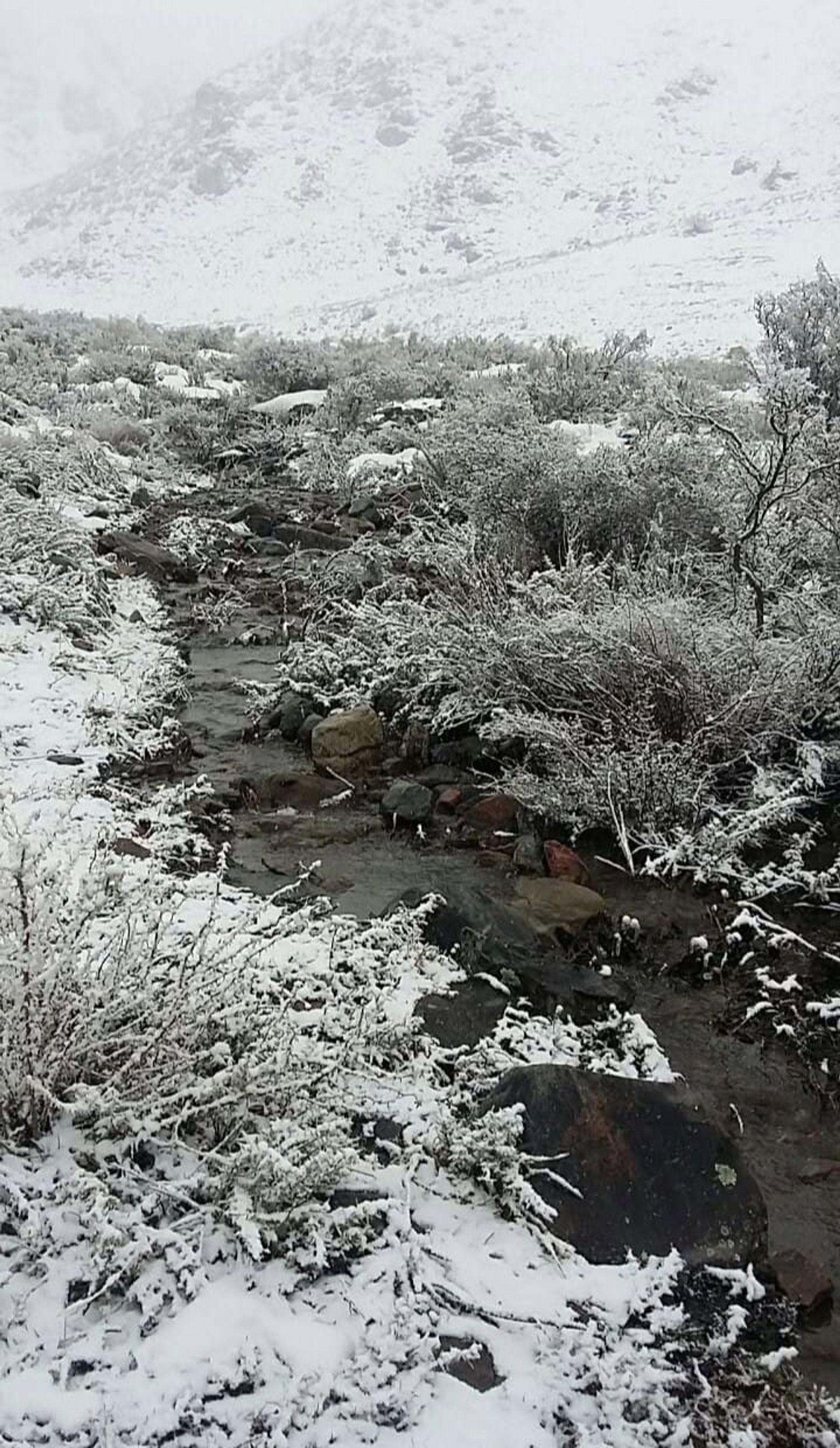 Imagen 11