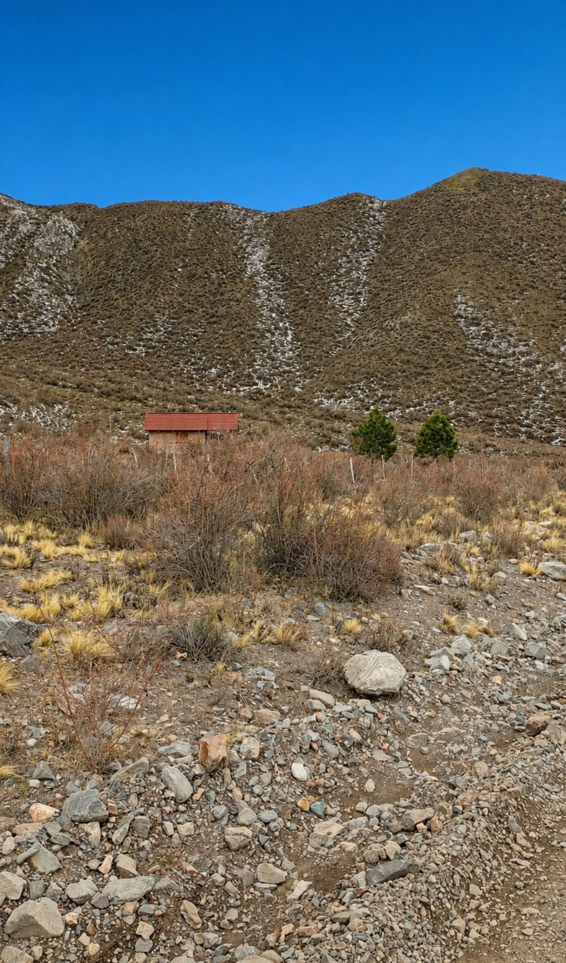 Imagen 2