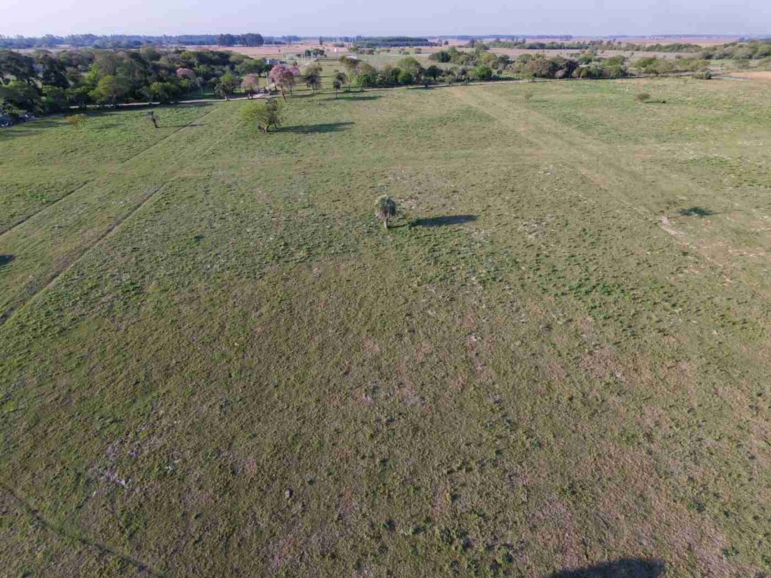 Lotes en venta en Colonia Porvenir