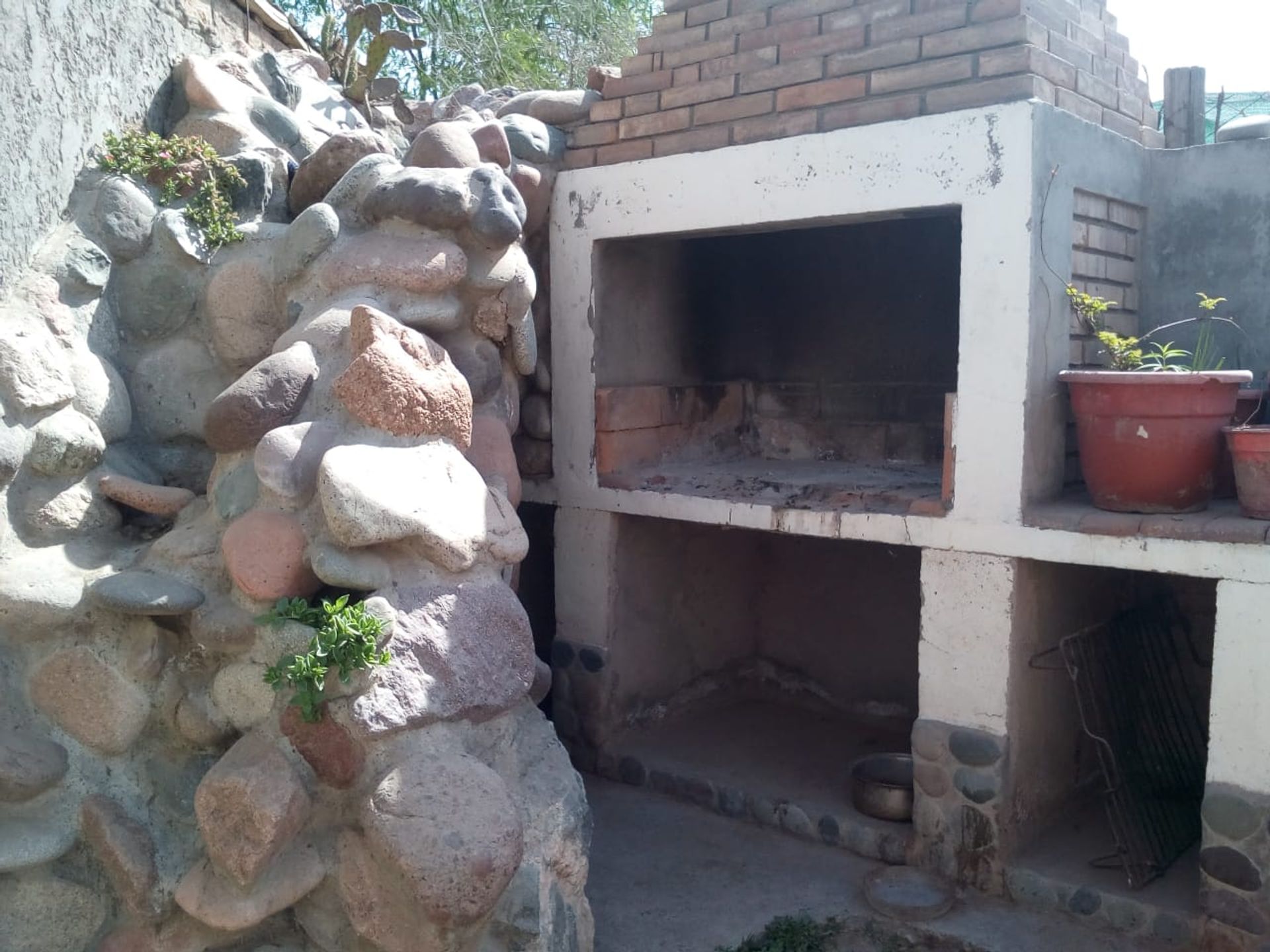 Imagen 8