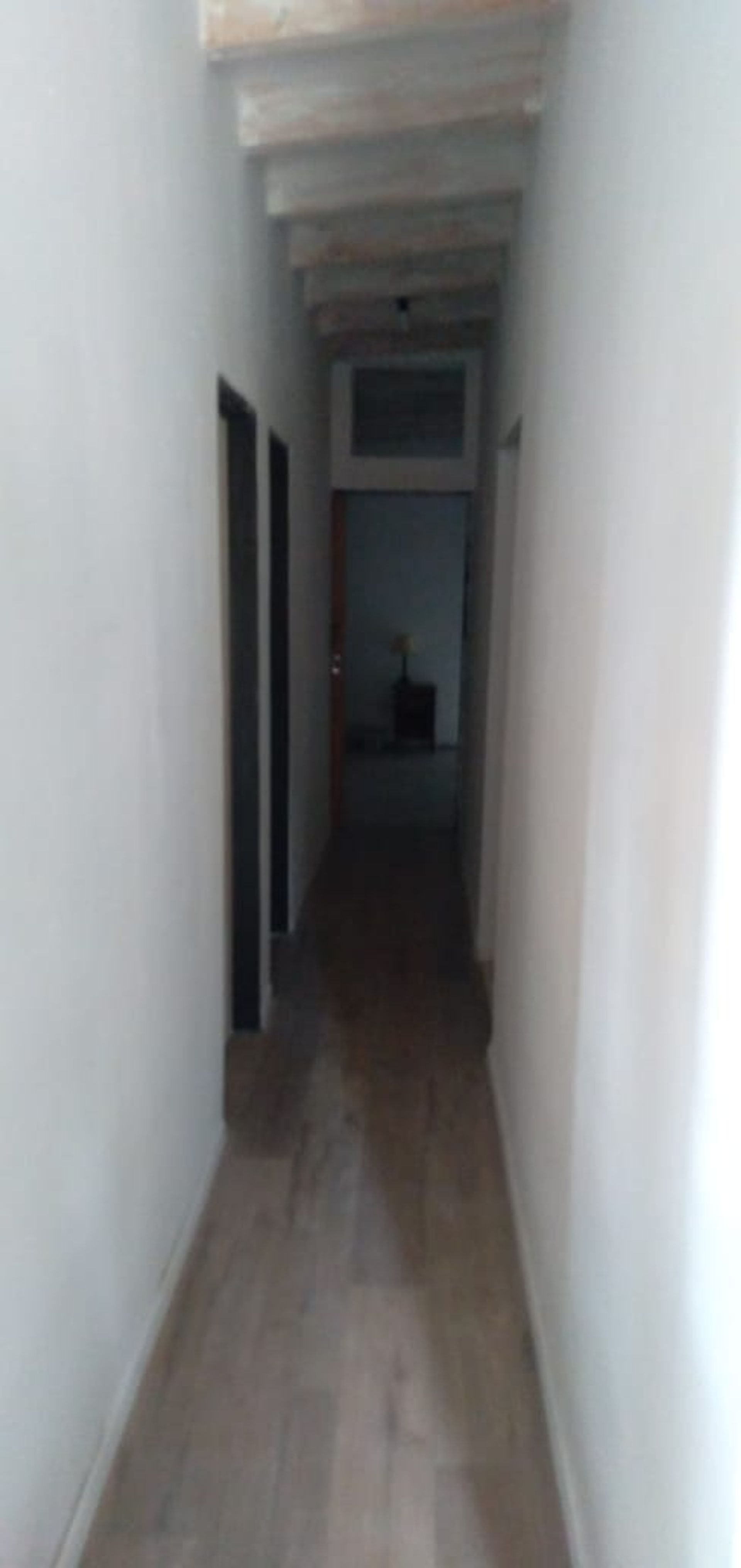 Foto 8 — Casa 2 dormitorios y gran terreno, Oro Verde