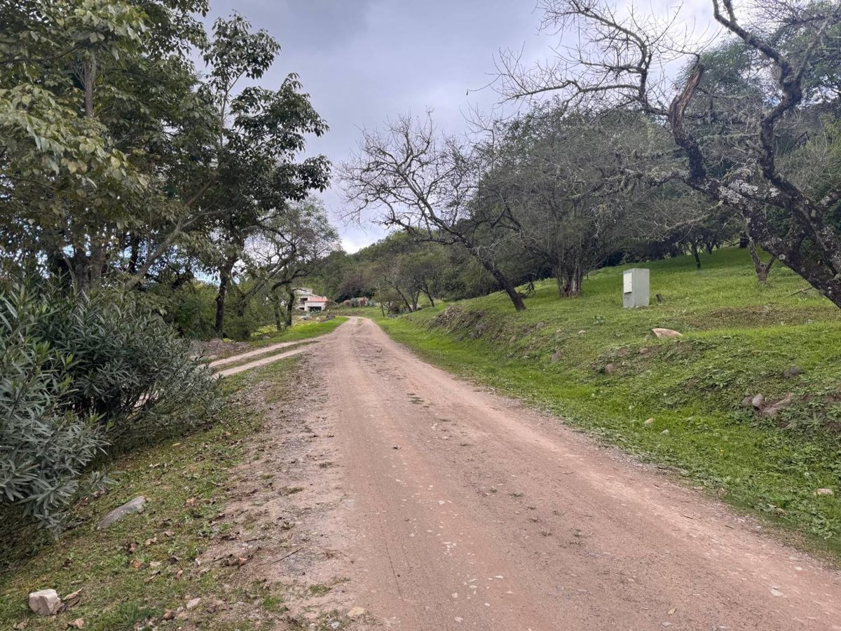TERRENO EN VENTA EN LA HOYADA CASTELLANO 3640 M2 - foto 6