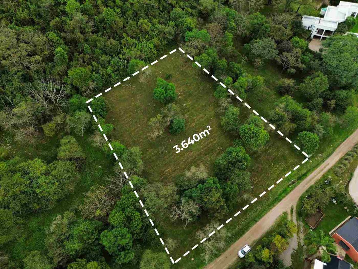 TERRENO EN VENTA EN LA HOYADA CASTELLANO 3640 M2 - foto 2