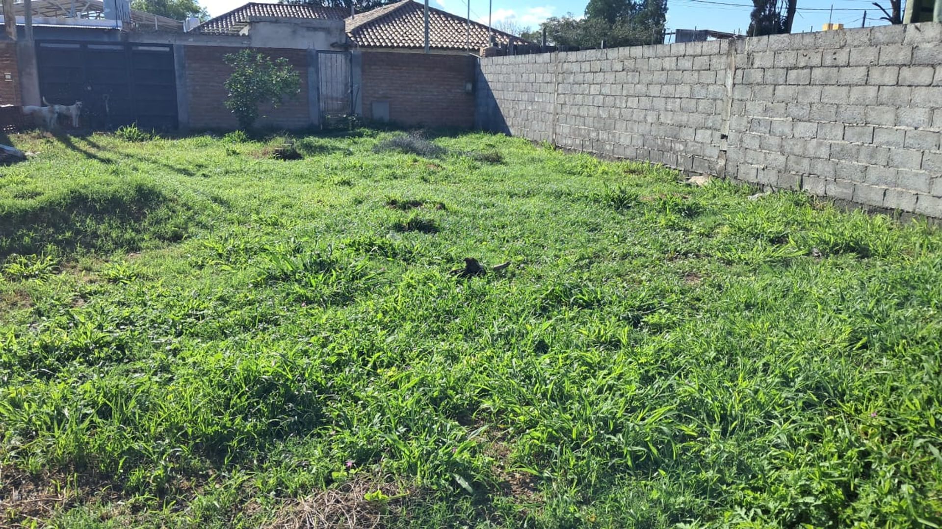TERRENO VENTA B° MOROSINI ZONA SUR - foto 4
