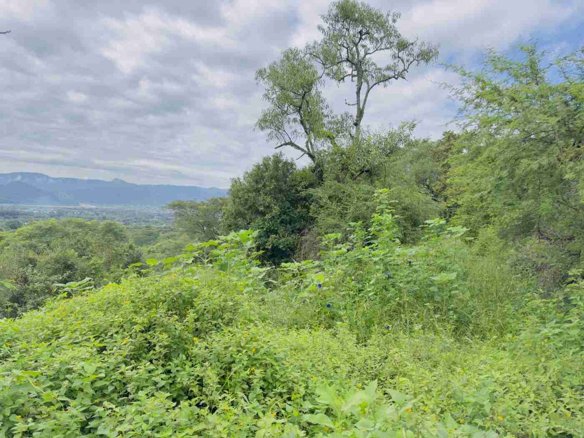 TERRENO EN VENTA EN VERTIENTES VAQUEROS 3495 M2 - foto 9
