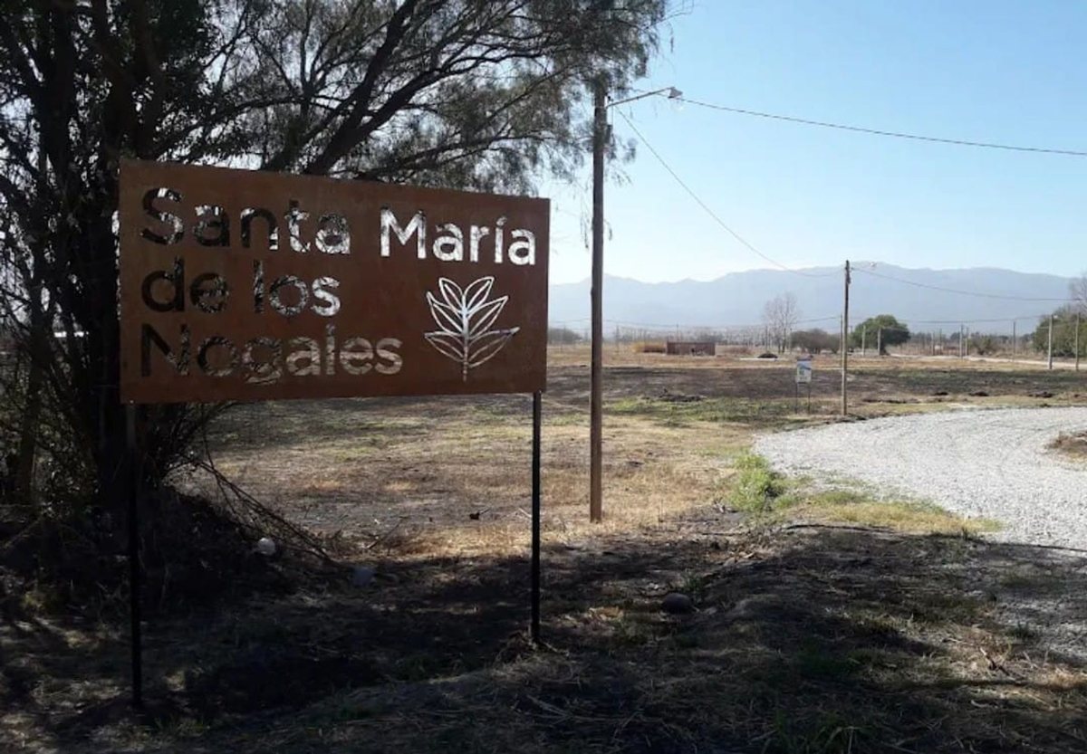 TERRENO VENTA SANTA MARIA DE LOS NOGALES CERRILLOS - foto 4