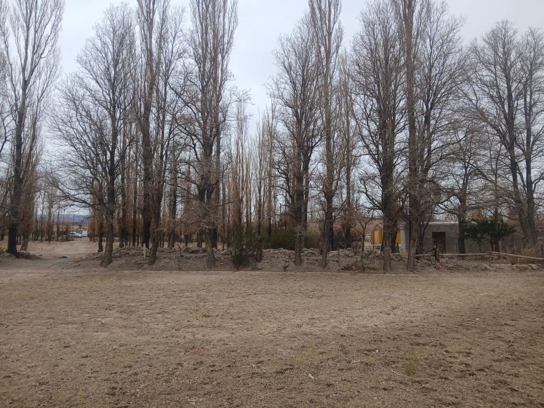 LOTE 1000 M2. SOBRE RUTA PROVINCIAL 412. IGLESIA