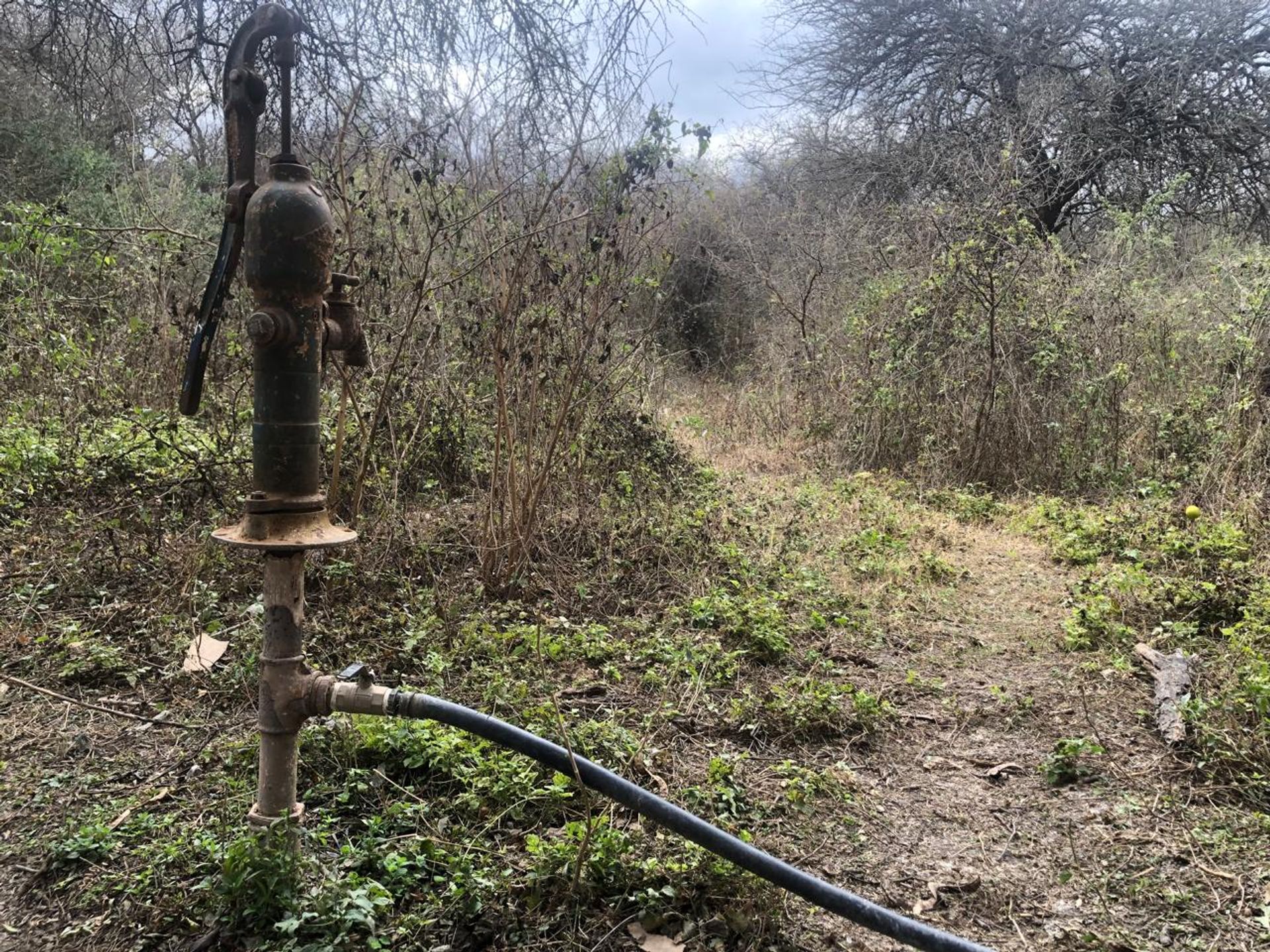 FINCA EN VENTA CERRILLOS RUTA PROVINCIAL 26 - foto 7