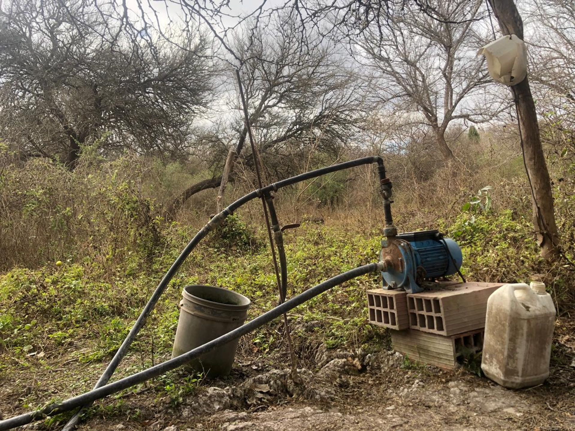 FINCA EN VENTA CERRILLOS RUTA PROVINCIAL 26 - foto 8