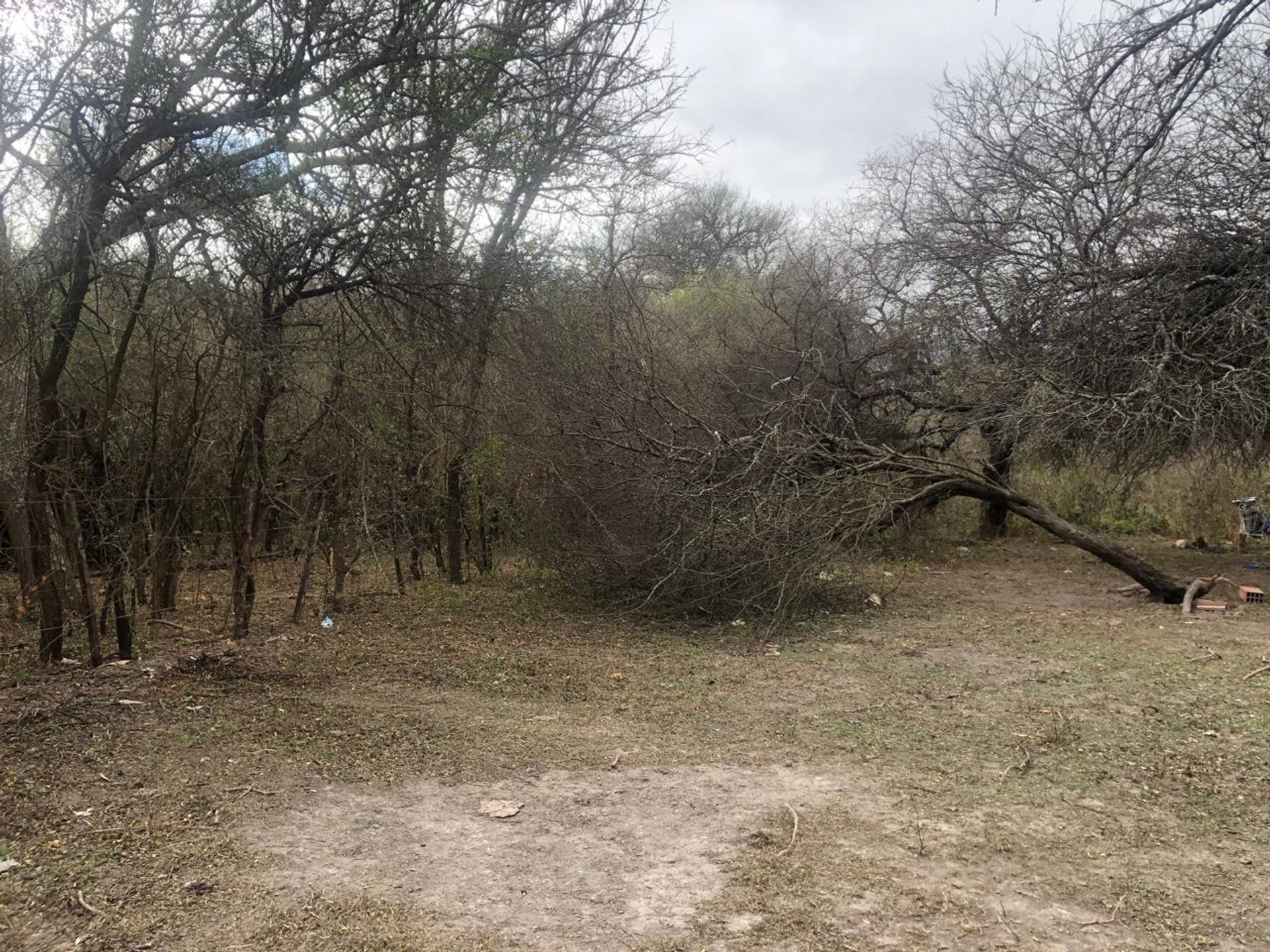 FINCA EN VENTA CERRILLOS RUTA PROVINCIAL 26 - foto 12