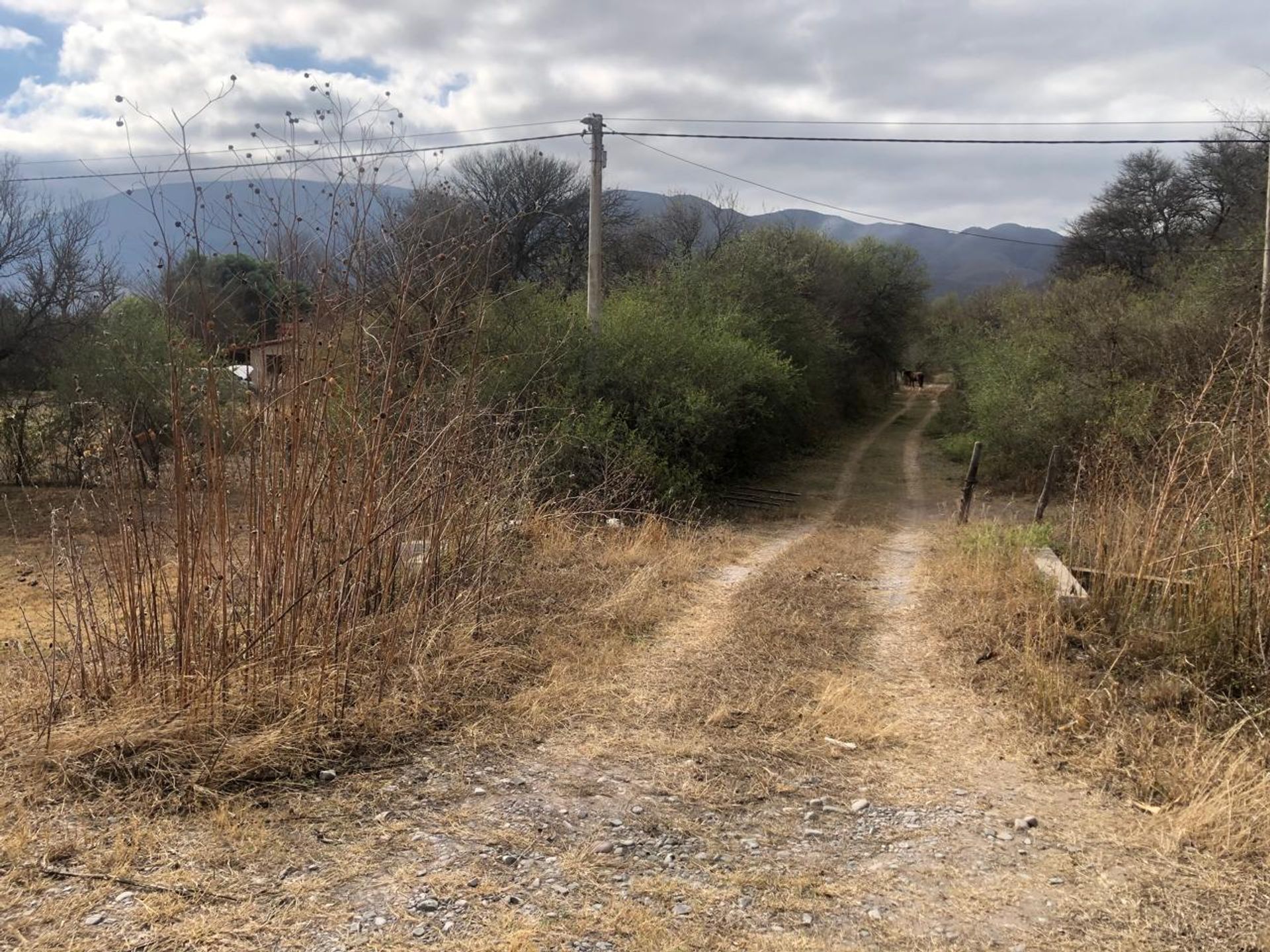 FINCA EN VENTA CERRILLOS RUTA PROVINCIAL 26 - foto 16