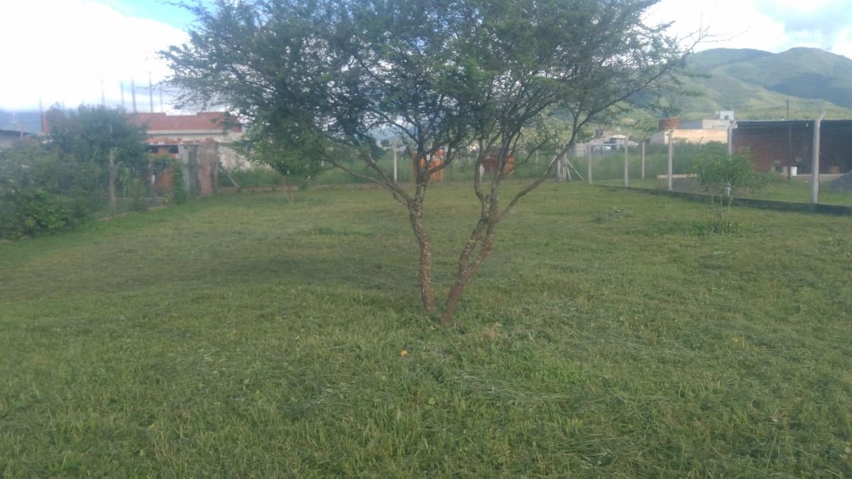 TERRENO VENTA CAMPO QUIJANO - foto 6