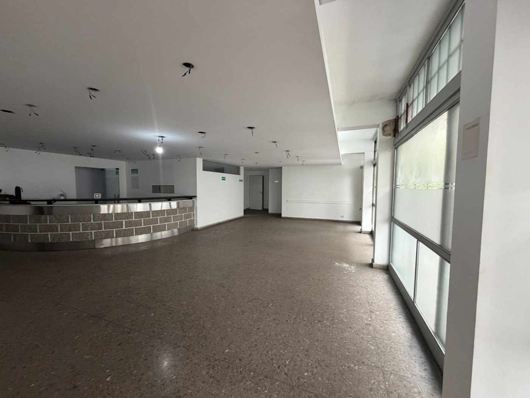 LOCAL COMERCIAL 300 M² + TERRAZA 300 M²