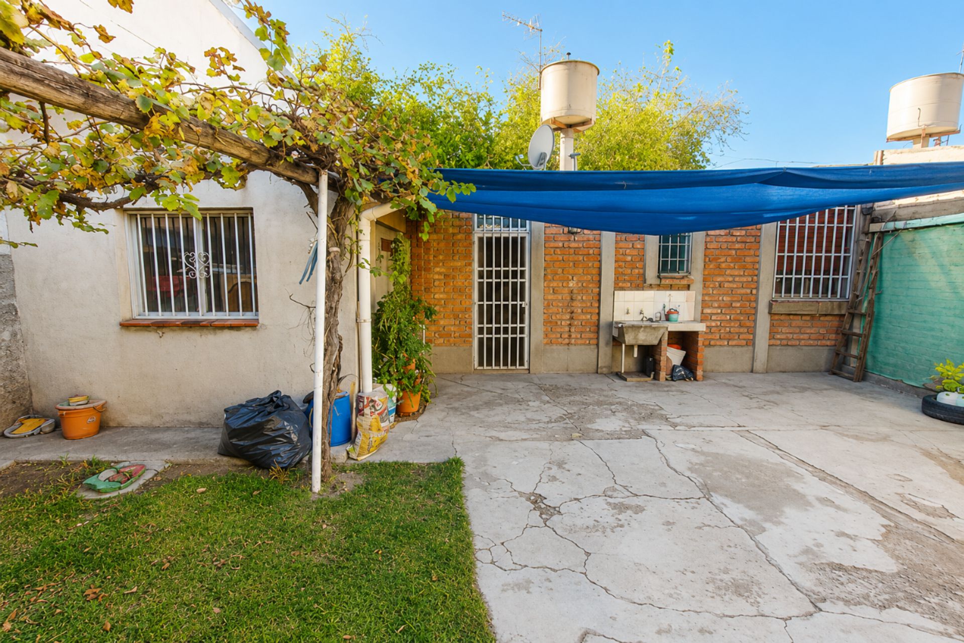 Imagen 5