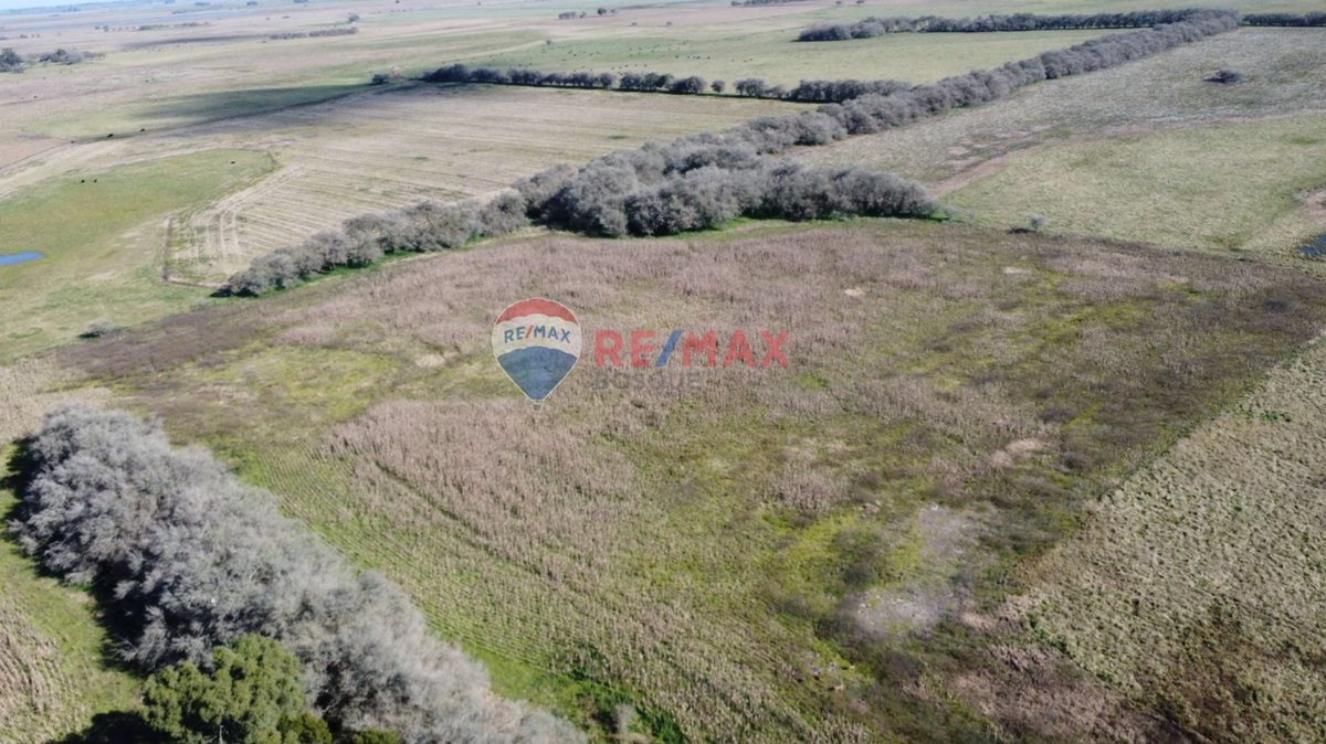 Foto 14 — CAMPO VENTA 32 HECTAREAS EN GENERAL MADARIAGA