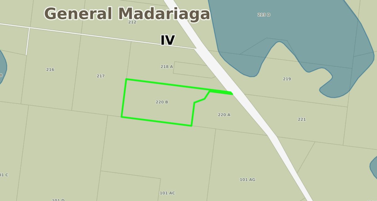 Foto 15 — CAMPO VENTA 32 HECTAREAS EN GENERAL MADARIAGA