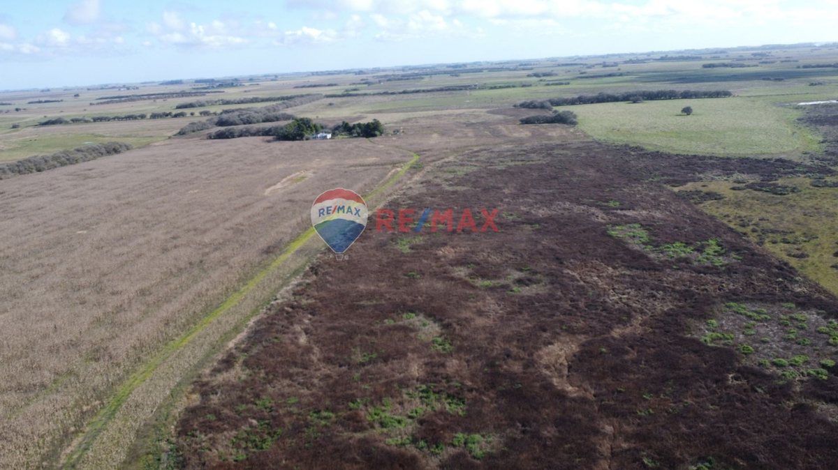 Foto 9 — CAMPO VENTA 32 HECTAREAS EN GENERAL MADARIAGA