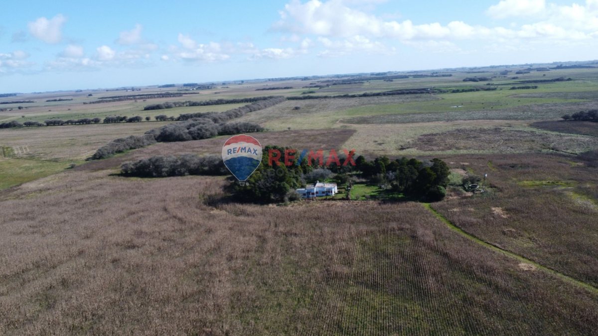 Foto 7 — CAMPO VENTA 32 HECTAREAS EN GENERAL MADARIAGA