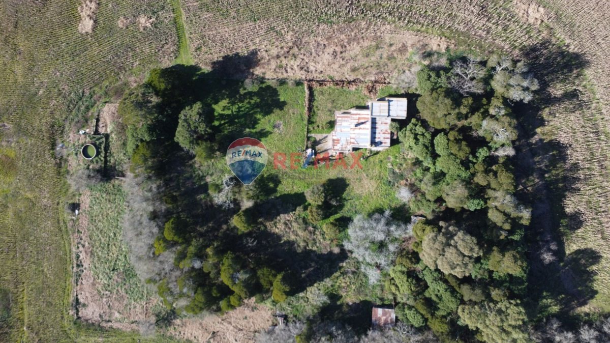 Foto 8 — CAMPO VENTA 32 HECTAREAS EN GENERAL MADARIAGA