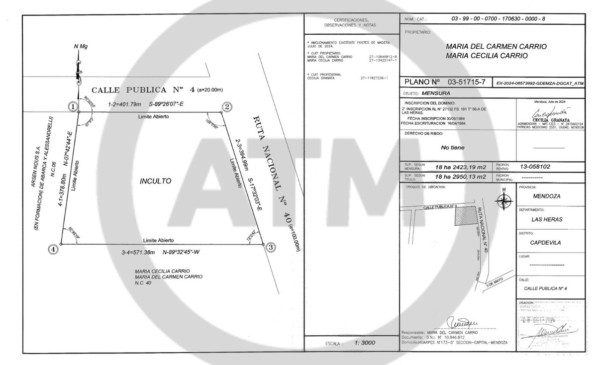 Imagen 2