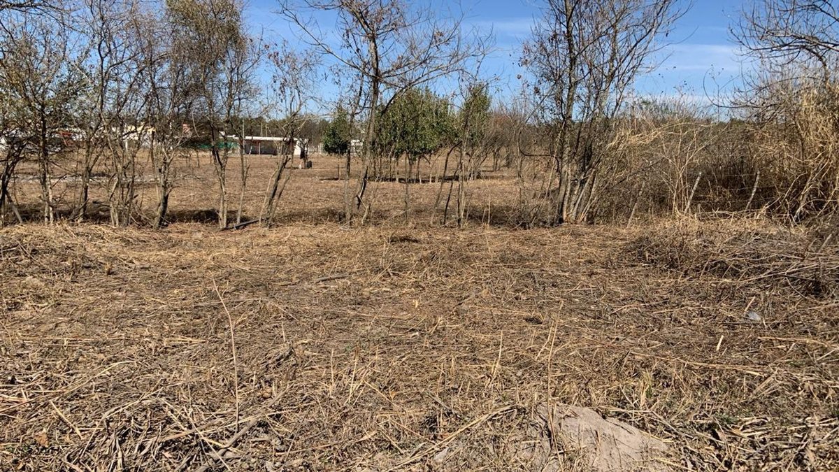 TERRENO VENTA CAMPO QUIJANO KM 16.5 5000M2 - foto 9