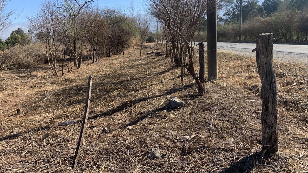 TERRENO VENTA CAMPO QUIJANO KM 16.5 5000M2 - foto 4