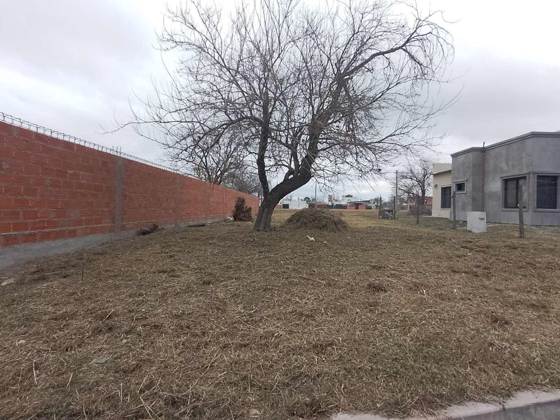 TERRENO VENTA TIERRA MIA CIRCUNVALACION OESTE - foto 8