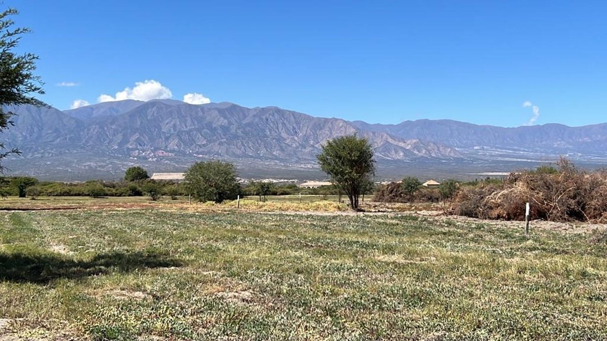 TERRENO EN VENTA EN LA ESTANCIA DE CAFAYATE - foto 3
