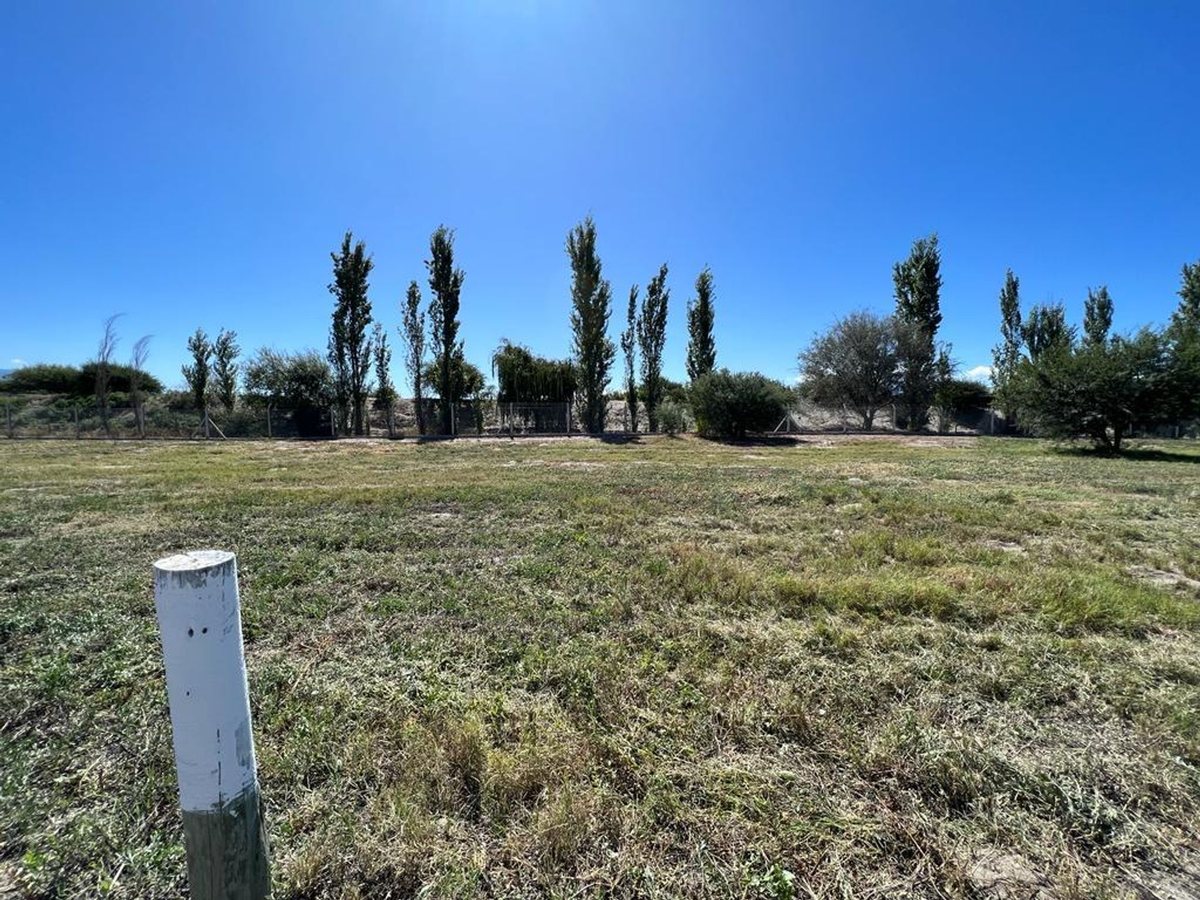 TERRENO EN VENTA EN LA ESTANCIA DE CAFAYATE - foto 2