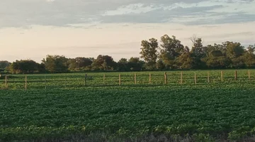 Campo en venta · Monte Vera