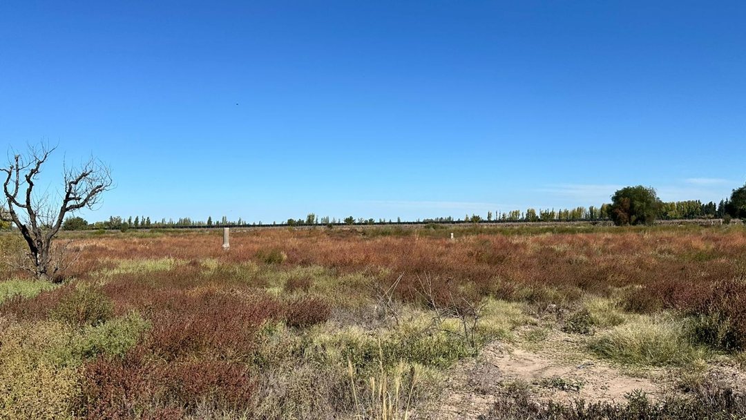 FINCA EN VENTA EN SAN MARTIN DE 37 HECTAREAS