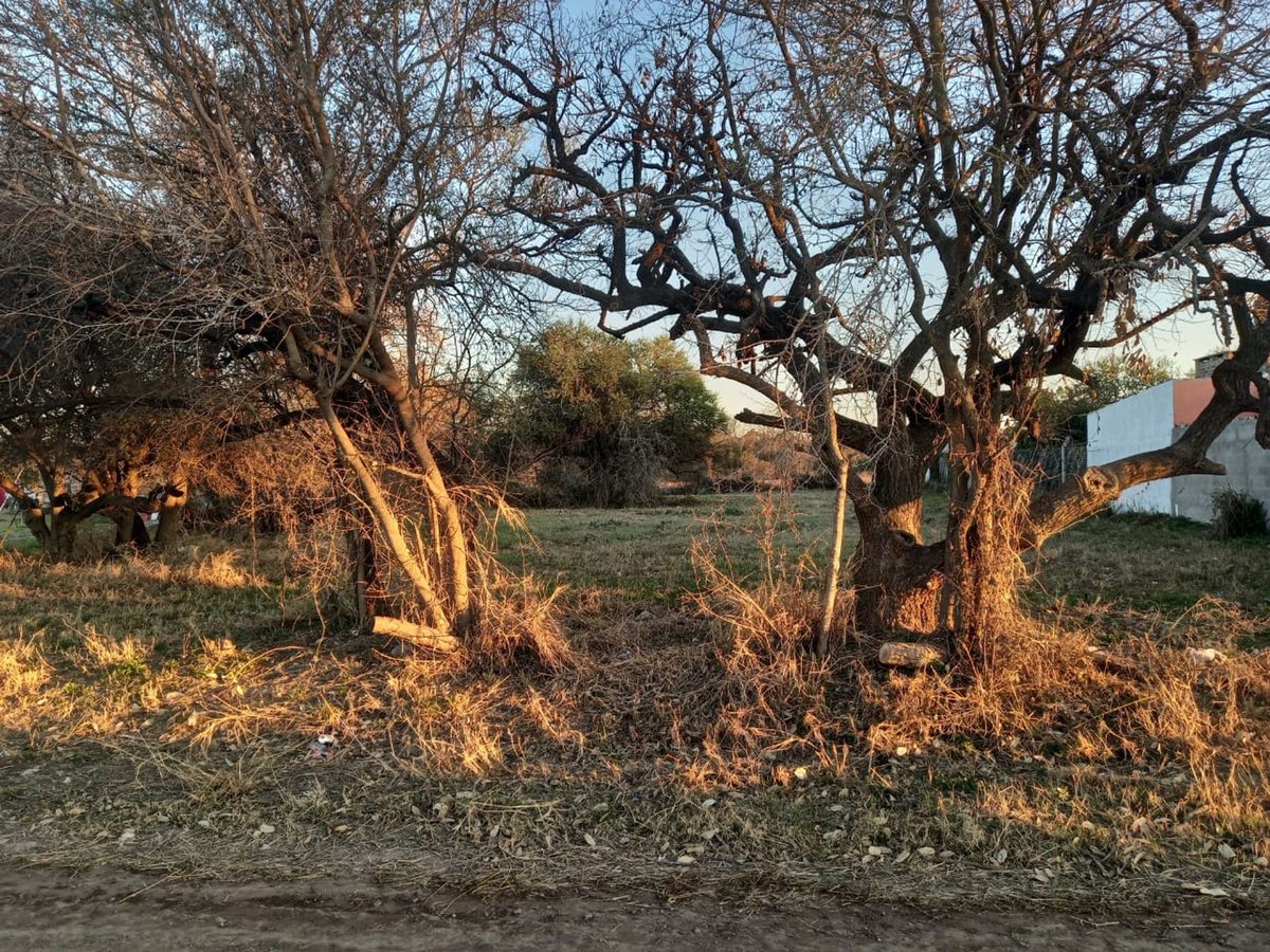 Foto 5 — TERRENO EN SAUCE VIEJO A 100 MTS DE LA RUTA 11