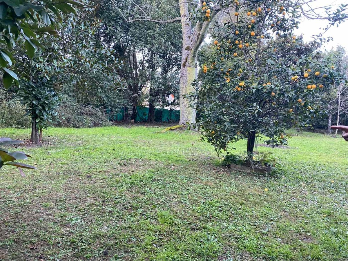 CASA VENTA SAN LORENZO CON CABAÑA Y PILETA - foto 13