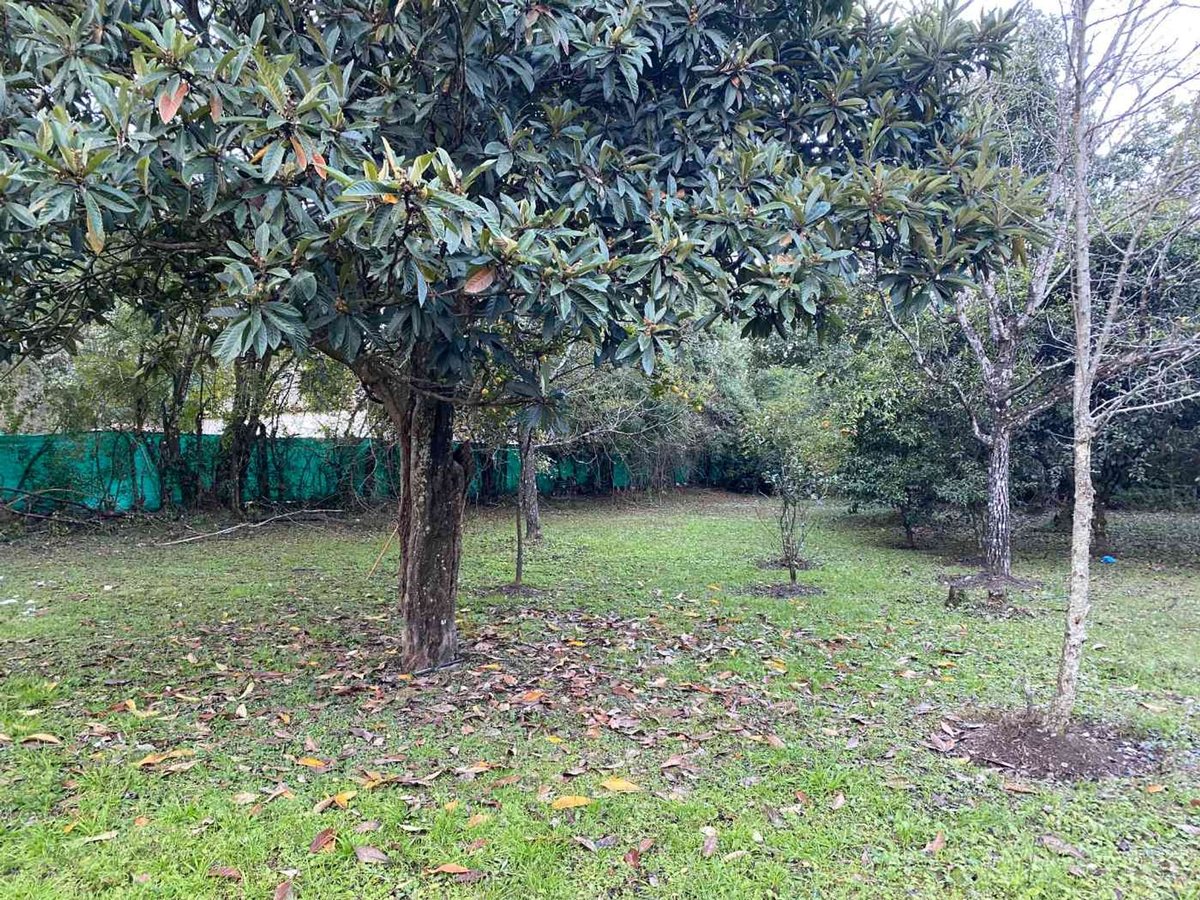 CASA VENTA SAN LORENZO CON CABAÑA Y PILETA - foto 14