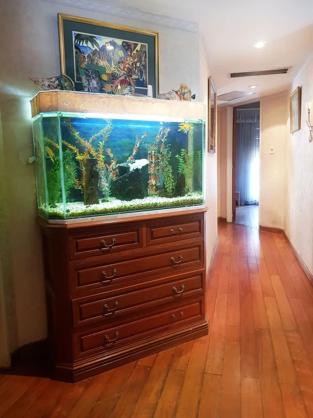 Piso en venta en La Plata, foto 5