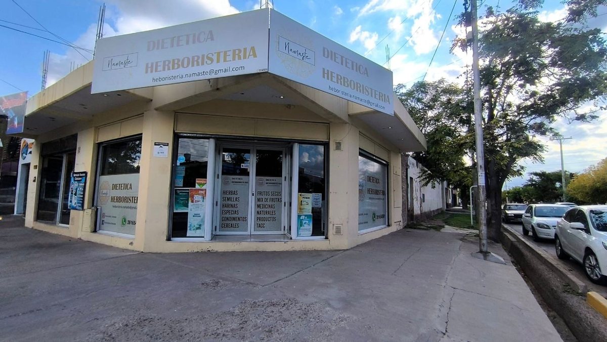 Imagen 2