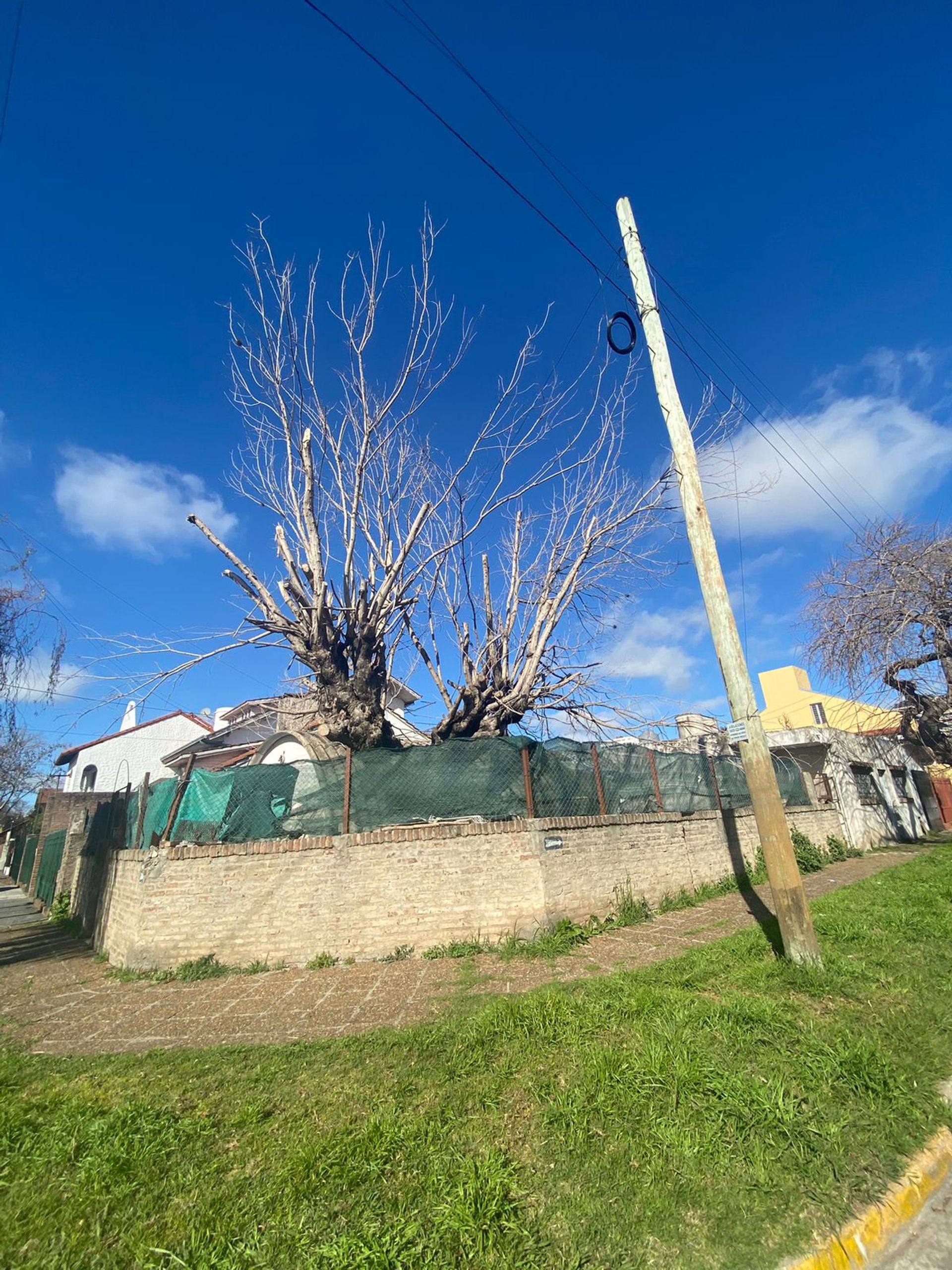Foto 23 — LOTE EN VENTA CON VIVIENDA A RECICLAR - QUILMES