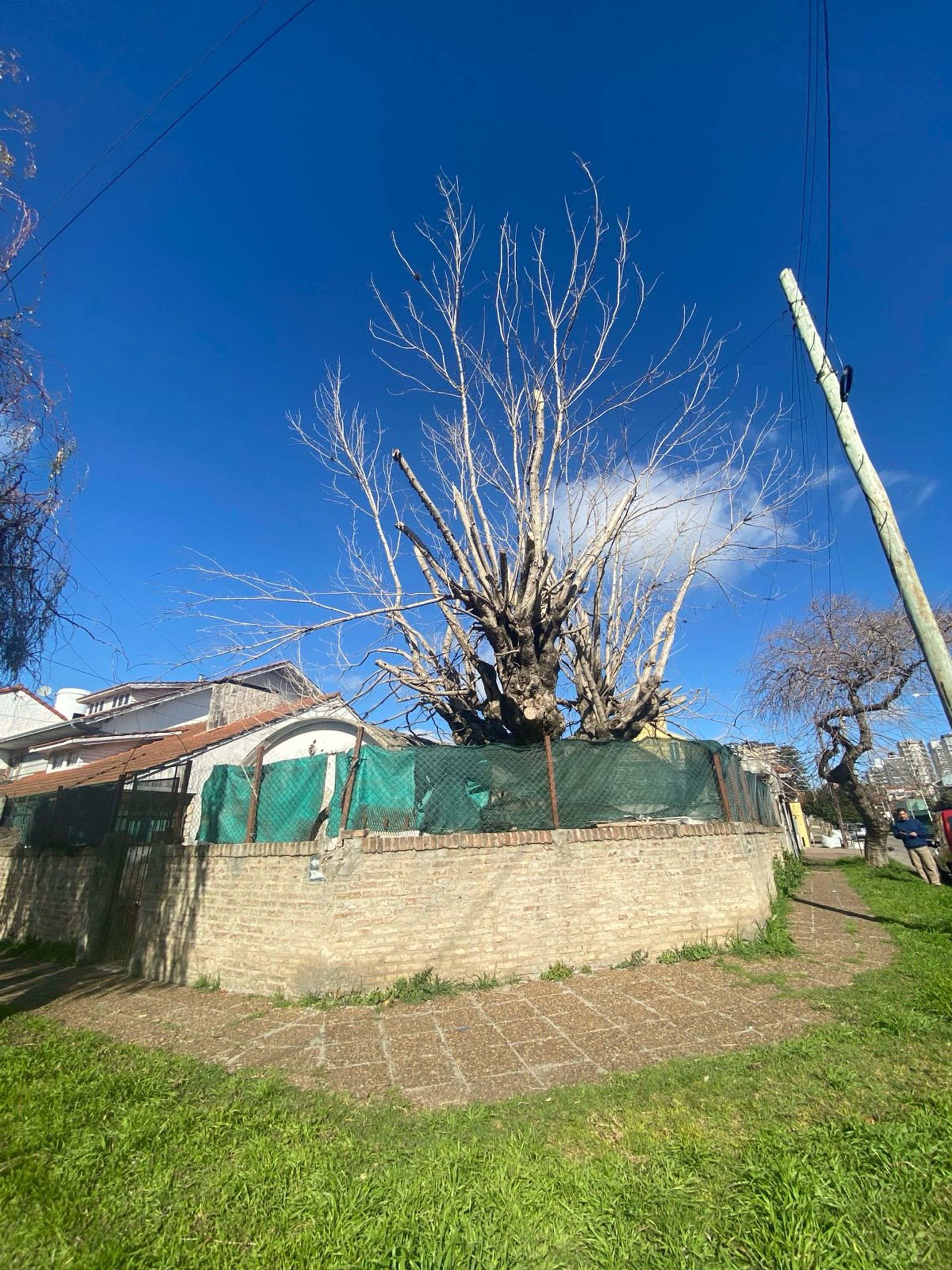 Foto 8 — LOTE EN VENTA CON VIVIENDA A RECICLAR - QUILMES